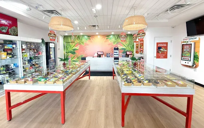 Canna Cabana sales floor with wicker pendant lights, lit display tables and glass cases